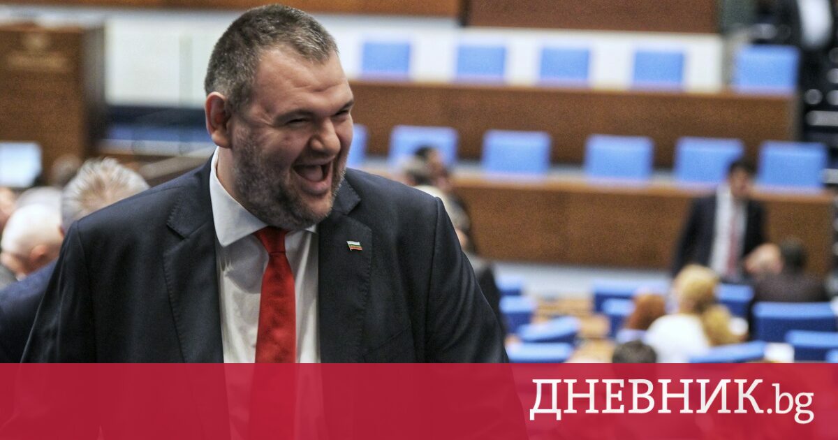 ДБ внася комисия за проверка на доходите и имуществото на Делян Пеевски