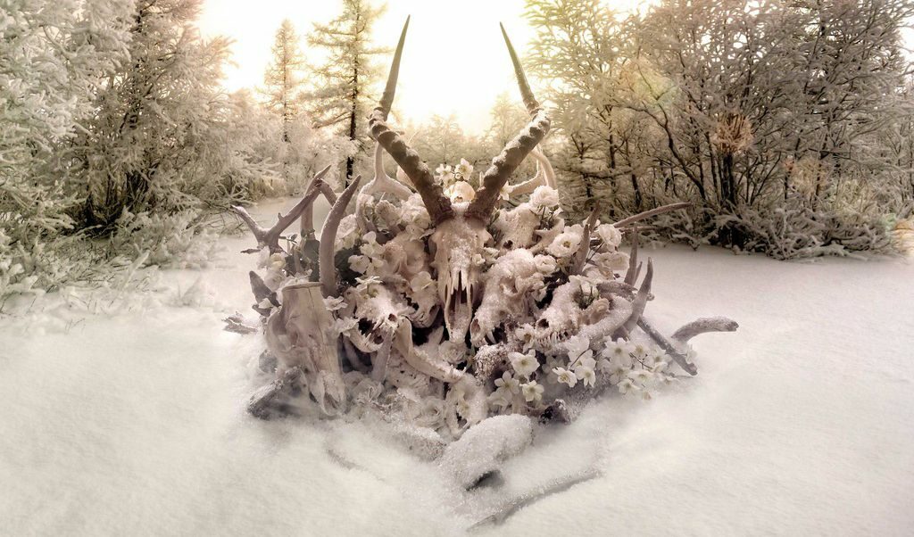 Визия към албума King Animal на Soundgarden, използвана в трейлъра, както и във "Фейсбук" страницата на групата