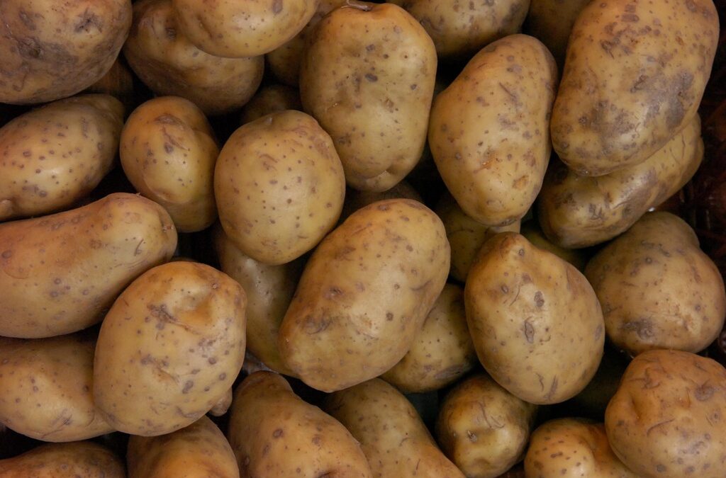 20 тона от продукцията ще останат в склад, докато не излязат резултати от повторно назначеното изследване заради съмнение за наличие на опасна болест.