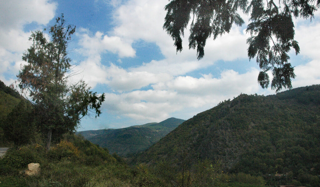 Снимката е архивна
