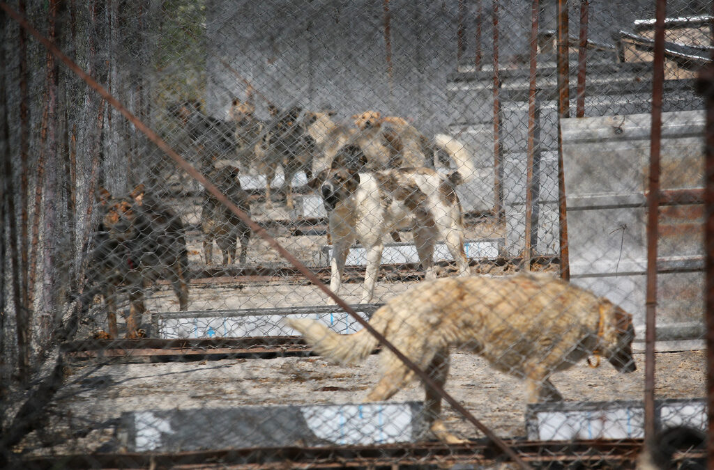 Столичната община не е съгласна с промените в Наредба 41