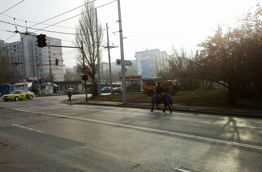 ...<br />
 I'm a poor lonesome cowboy<br />
 But it doesn't bother me<br />
 'Cause this poor lonesome cowboy<br />
 Prefers a horse for company<br />
 Got nothing against women<br />
 But I wave them all goodbye<br />
 My horse and me keep riding<br />
 We don't like being tied<br />
 ...<br />
;-)