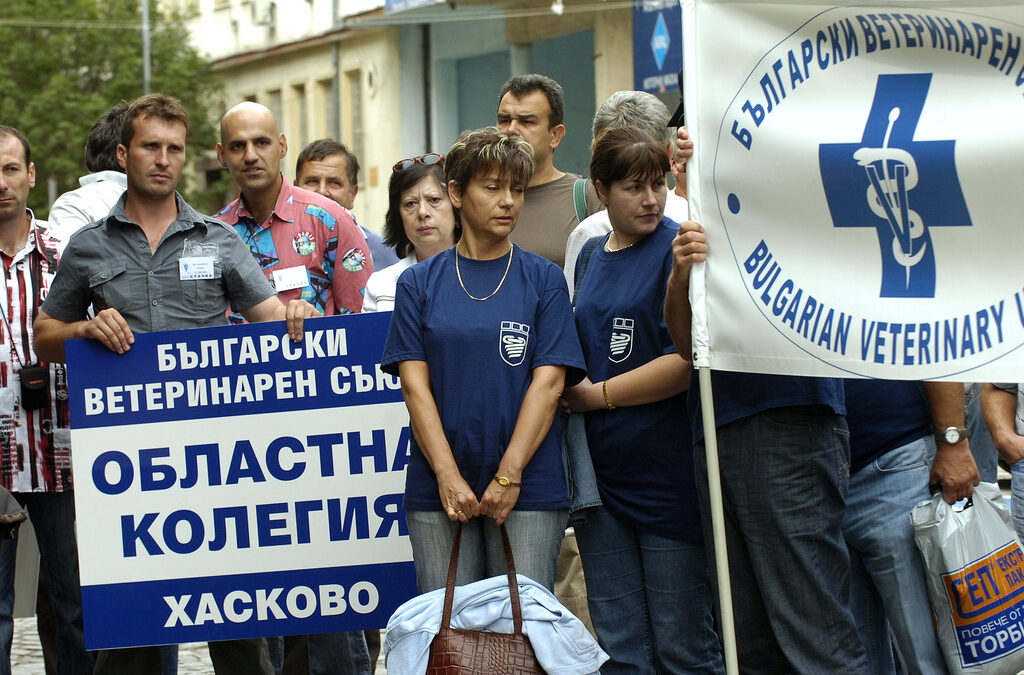 Ветеринарните лекари излизат на национален протест