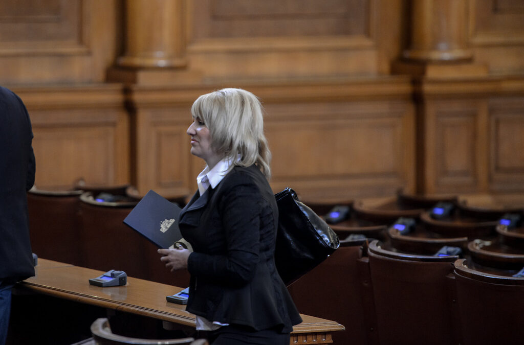 Ана Баракова в пленарната зала