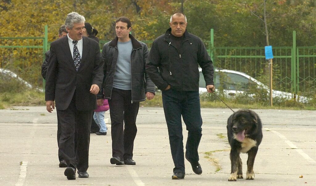 На местните избори през 2007 г. кметът тогава Бойко Борисов отиде да гласува с кучето си Борко, което е от породата българско овчарско куче. Впоследствие се сдоби с друго, носещо името Лазар.