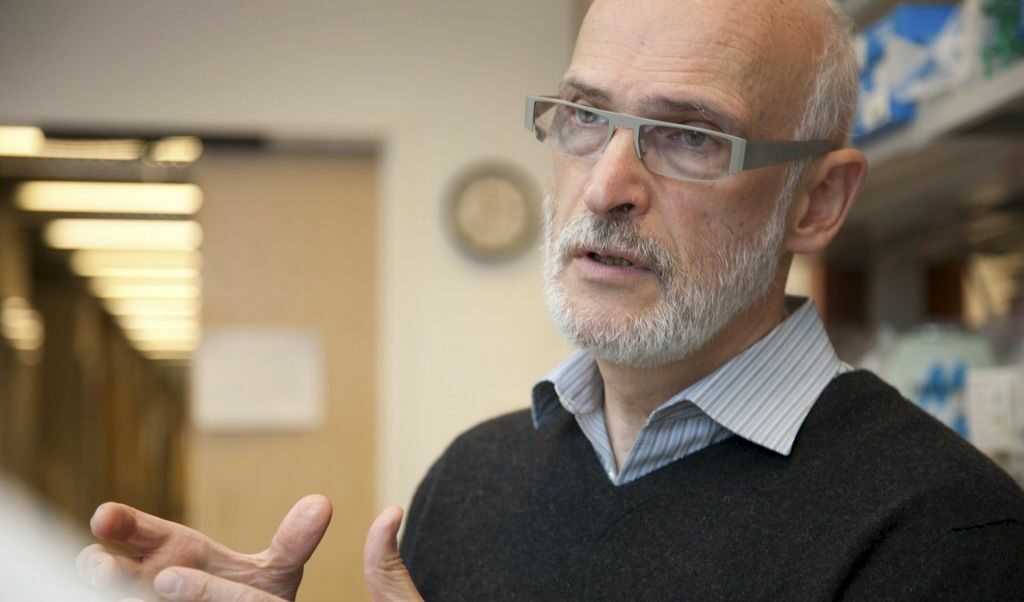 Александър Руденски,<strong> </strong>директор на Ludwig Center for Cancer Immunotherapy и професор в три институции е сред фаворитите за Нобел за физиология и медицина за открития за природата и ролята на тип имунни клетки.