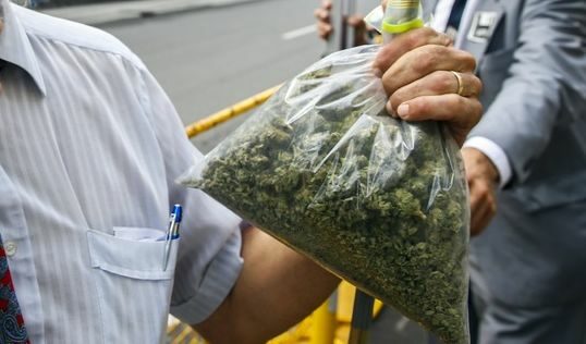 Германия подготвя държавна агенция за медицинска марихуана