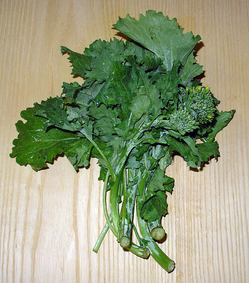 https://commons.wikimedia.org/wiki/File:Rapini.jpg#/media/File:Rapini.jpg