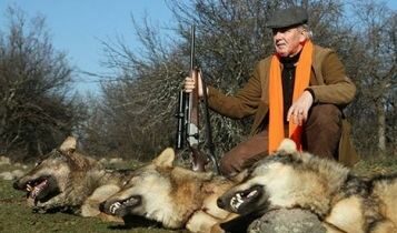 Лютви Местан отстрелял три вълка за половин час Лютви Местан отстрелял три вълка за половин час
