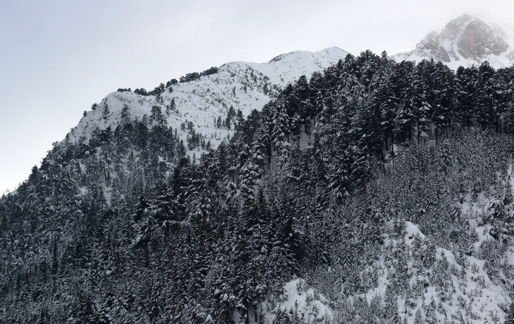 Снимката е архивна