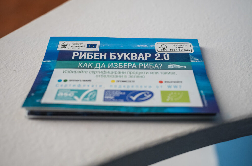 Шаранът за Никулден е и грижа за природата