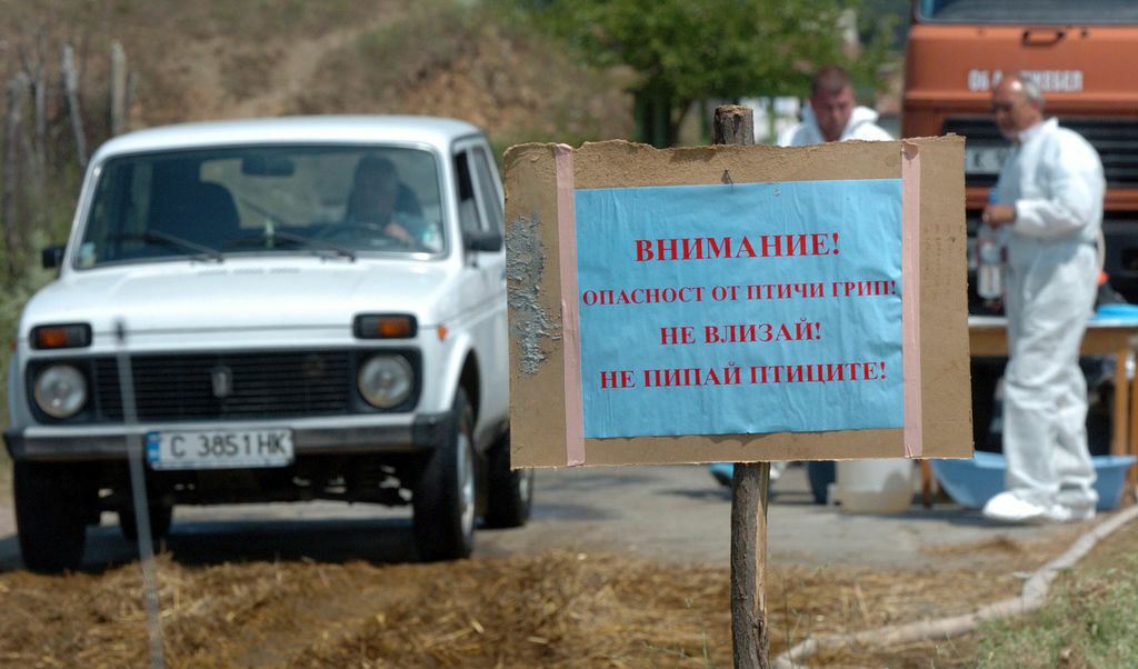 15 са вече огнищата на птичи грип, започва умъртяване на птици в Пловдивско