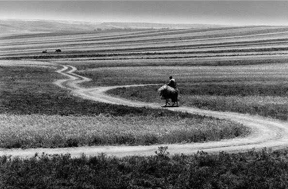 Фотоизложба на Аббас Киаростами гостува в Дома на киното