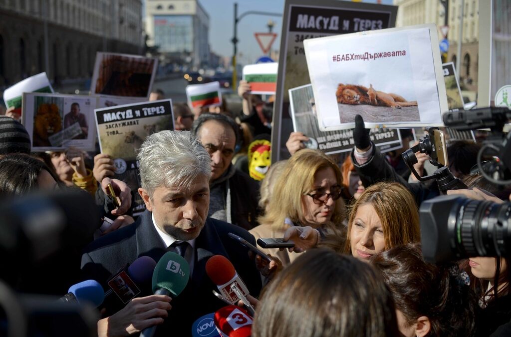 След намесата на премиера министър Димов намери начин да прати лъвчетата в Холандия