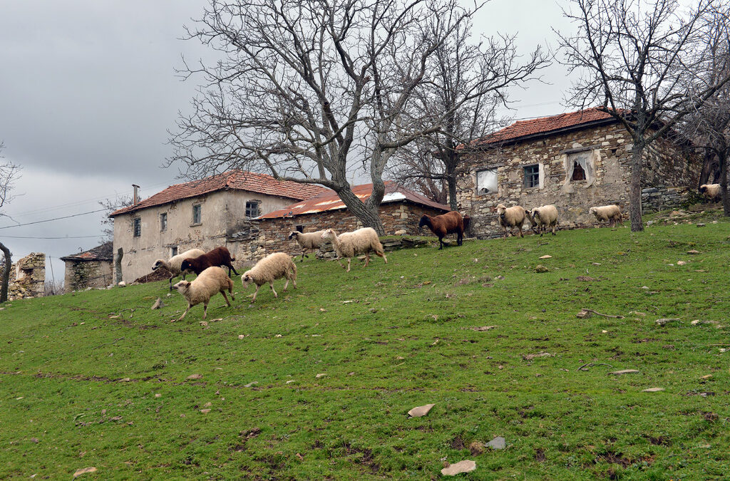 снимката е архивна
