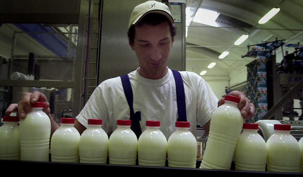 Днес е последният ден за покупка на млечни квоти Днес е последният ден за покупка на млечни квоти