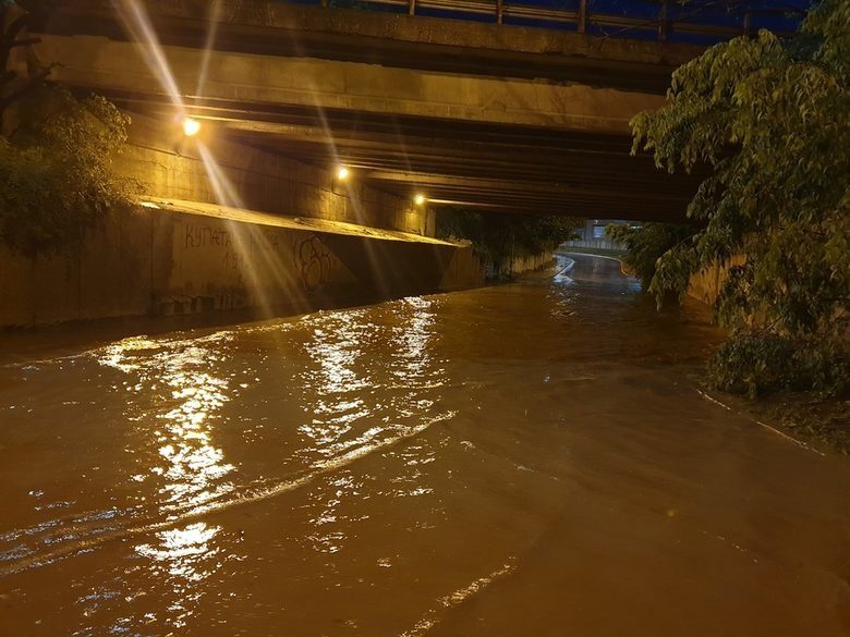 Пропада какво ли не, пропада България.