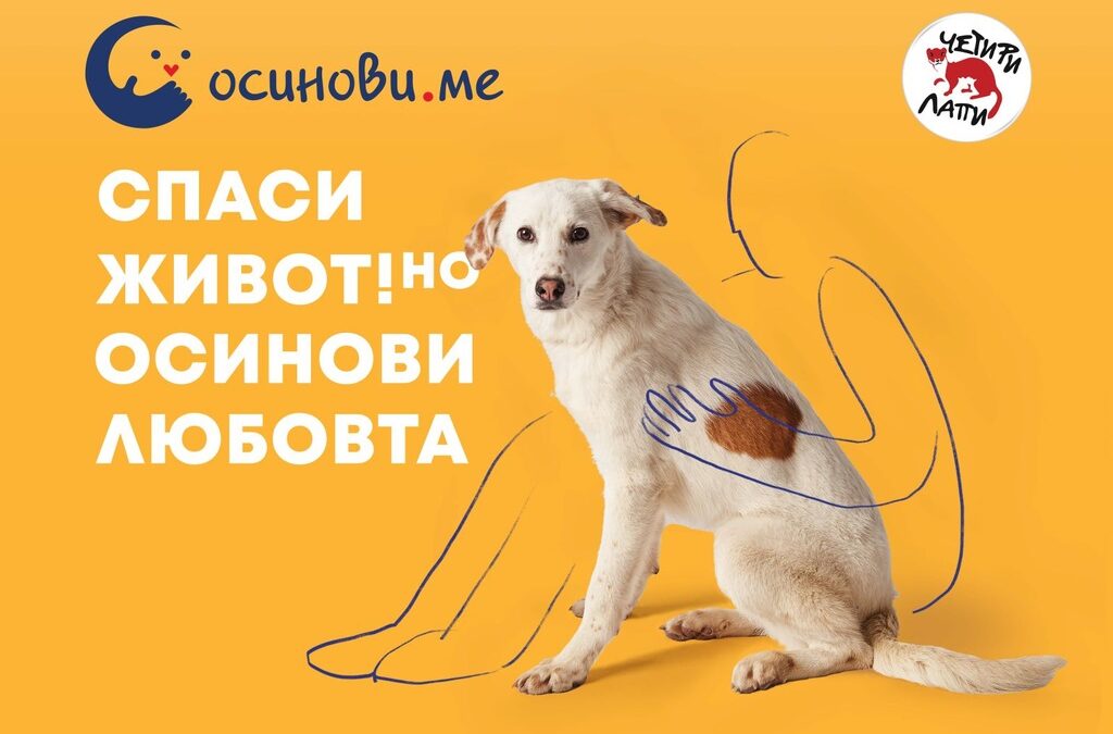 Постера на конкурса.