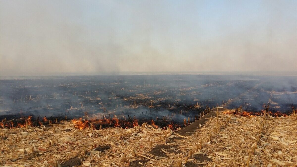 Общо 17 запалени стърнища за денонощие въпреки глобите и забраните