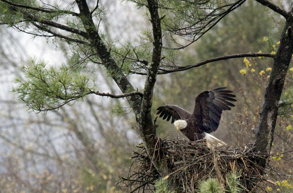 Снимката е архивна