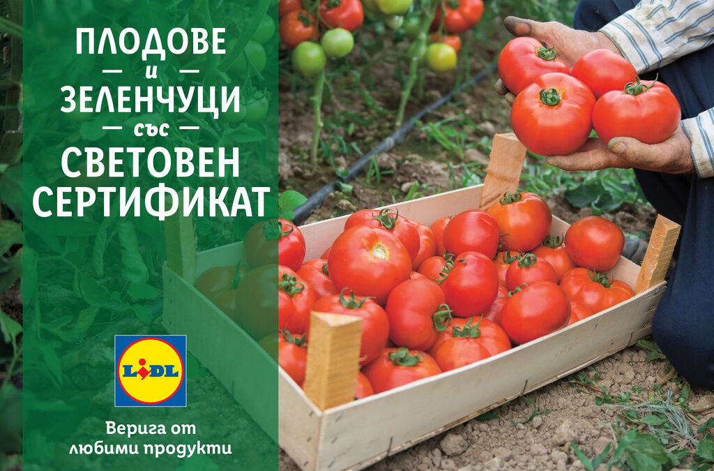 В подкрепа на родното производство lidl предлага 100 % български розови домати и био краставици в цялата верига магазини