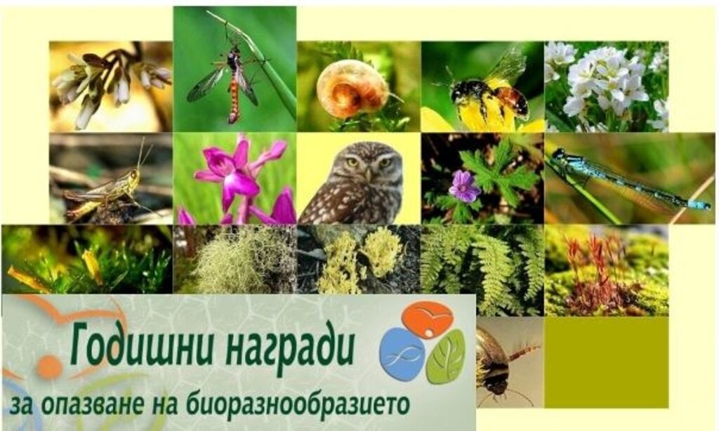 Началото на номинациите за наградите се обявяват на Световния ден на биоразнообразието и се приемат до 22 август.