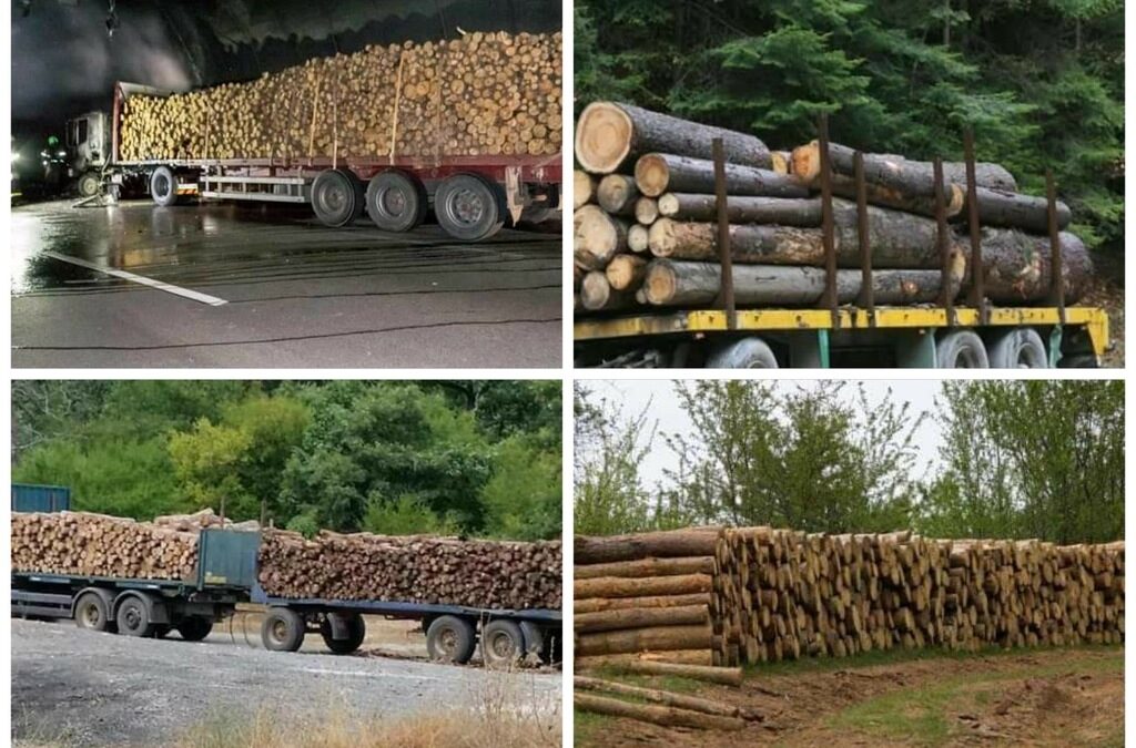 През последните години <a href="https://www.dnevnik.bg/ot_vas/novini_ot_vas/2020/08/19/4104247_strandja_bulgarskata_gora_izchezva_v_chujbina/" target="_blank">гражданските сигнали за незаконна сеч </a>край реки и в стари гори зачестяват, като често цитирани са случаи в Природен парк "Странджа", където се намират реките Велека и Резовска, защитени отчасти с някои от ограниченията, които министър Иванов ще преразглежда