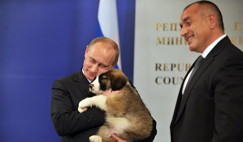 Ноември 2010 г. Путин идва в България, получава уверения за изграждането на АЕЦ "Белене", подписва договор за изграждането на "Южен поток" и за премахването на "посредниците" при доставката на газ – нещо, което всъщност монополизира ролята на "Газпром" в преноса и доставката.