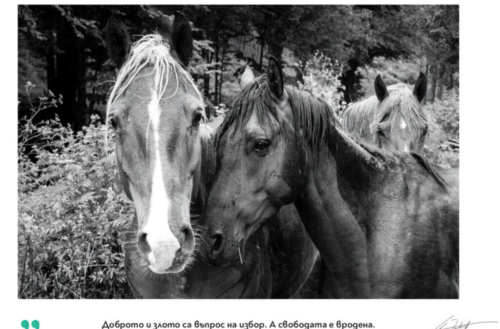 За да разпознаеш злото, за да го победиш, се изискват "всекидневни, непрестанни, изнурителни и неблагодарни усилия" - така казваше Кристиан Таков, чиито мъдри думи ни най-малко не са загубили актуалността си.