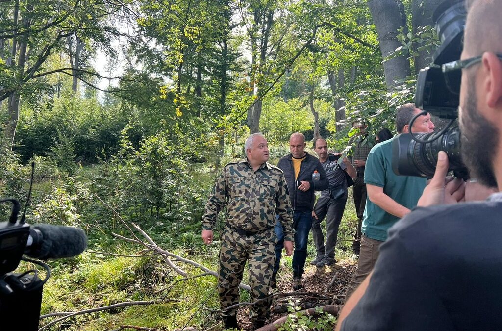 Властите си противоречат за незаконната сеч над Карловско