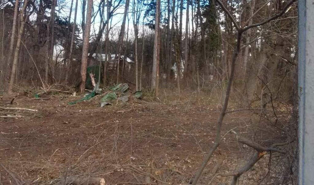 Сечта в къпалнята "Мария Луиза" продължила и след забраната на Фандъкова