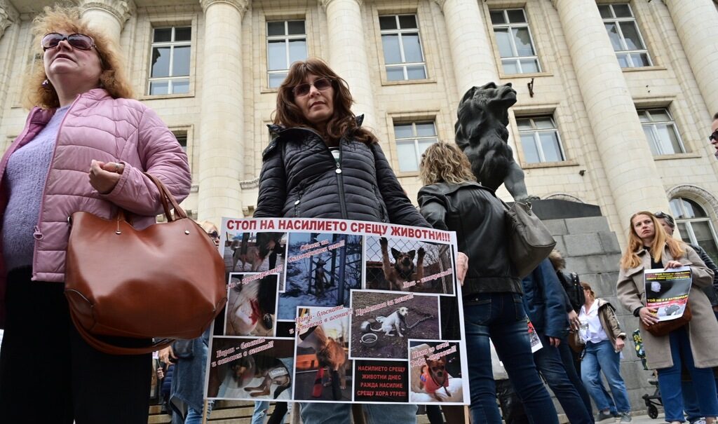 С протестно шествие в Перник стотици хора поискаха по-тежки наказания за насилие над животни С протестно шествие в Перник стотици хора поискаха по-тежки наказания за насилие над животни
