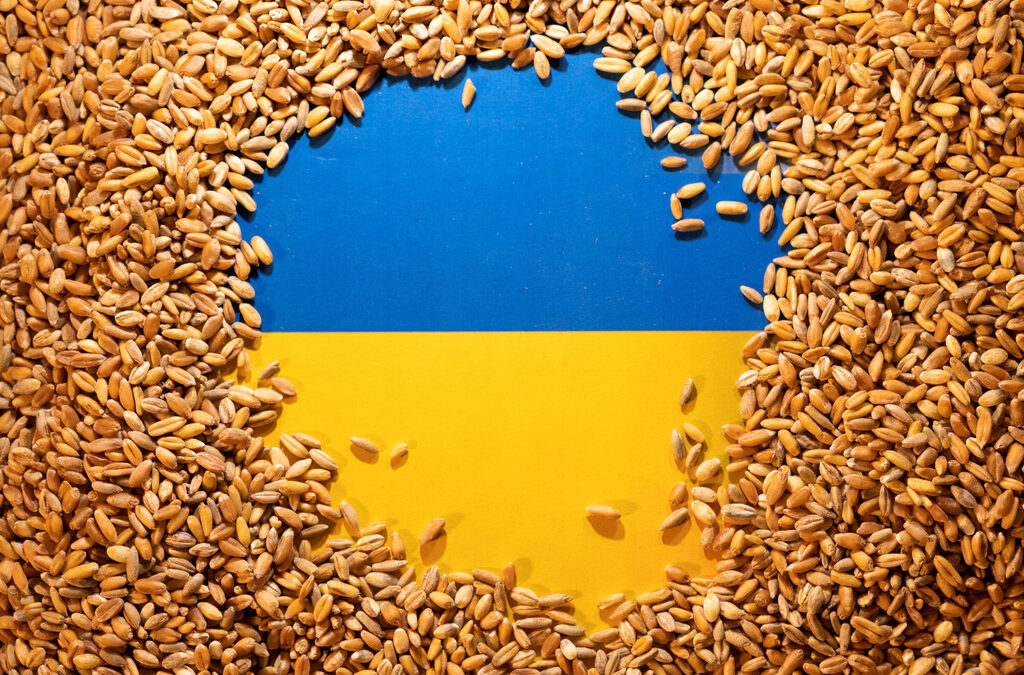 Неприемливо: Еврокомисията напомни, че държавите в ЕС не могат да спрат зърно и храни от Украйна Неприемливо: Еврокомисията напомни, че държавите в ЕС не могат да спрат зърно и храни от Украйна