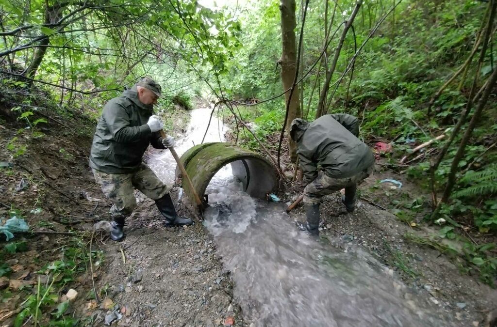 Кадърът е от Берковица Кадърът е от Берковица