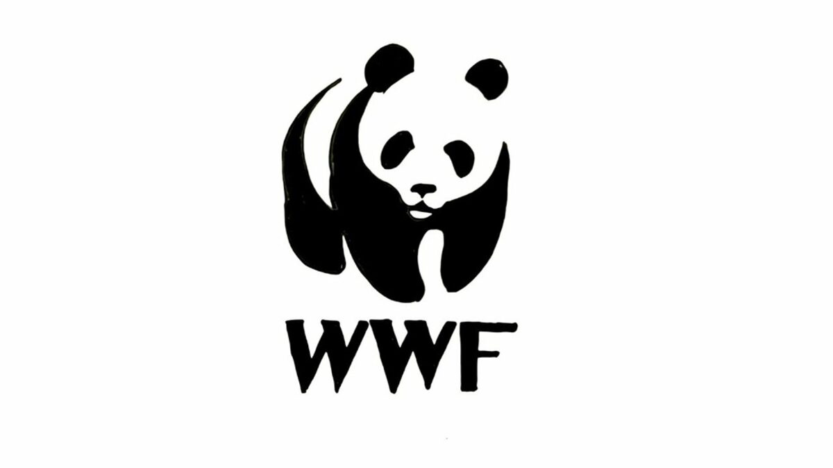 След "Грийнпийс": Русия обяви и WWF за нежелана организация