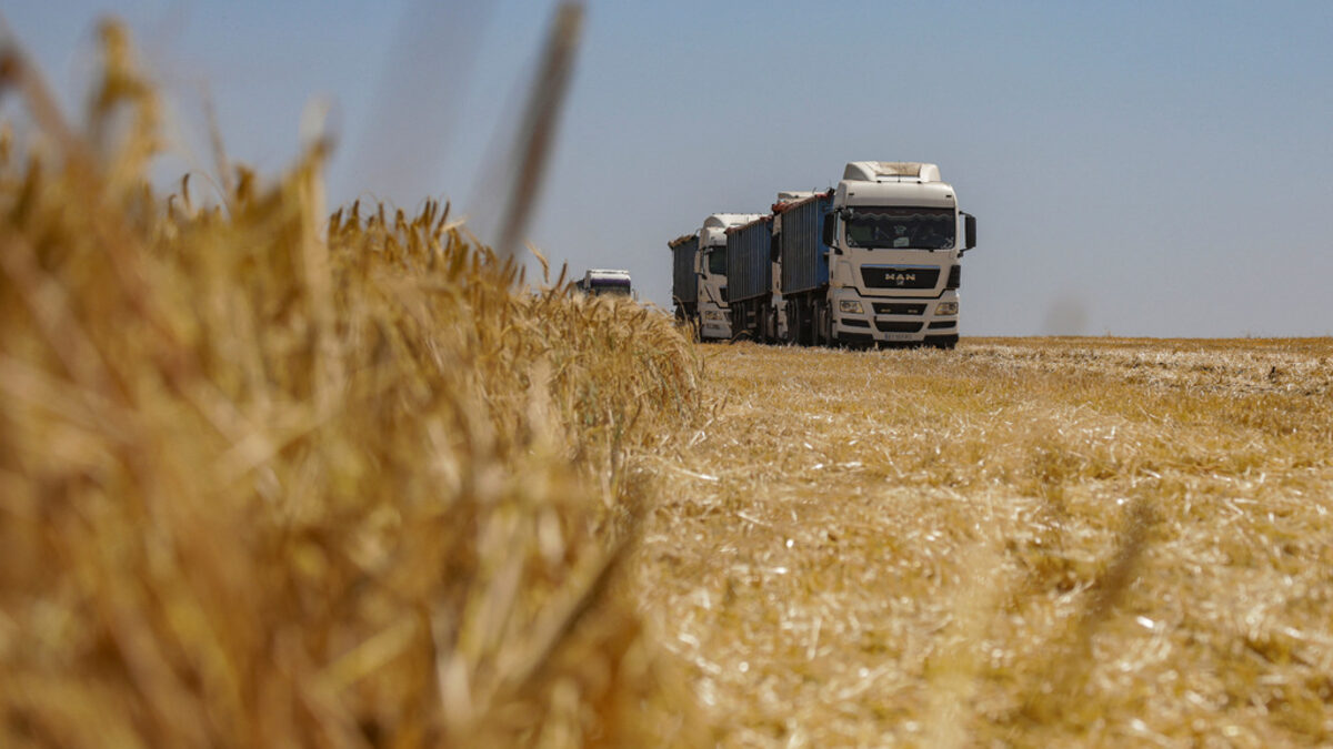 Брюксел отпусна 9.97 млн. евро обезщетения за украинското зърно