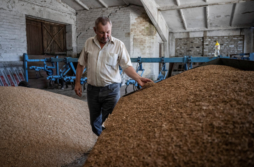 Украйна е удвоила износа на зърнени храни за ЕС през 2022 г., като две трети от увеличението се пада на пет държави - България, Румъния, Полша, Унгария и Словакия Украйна е удвоила износа на зърнени храни за ЕС през 2022 г., като две трети от увеличението се пада на пет държави - България, Румъния, Полша, Унгария и Словакия