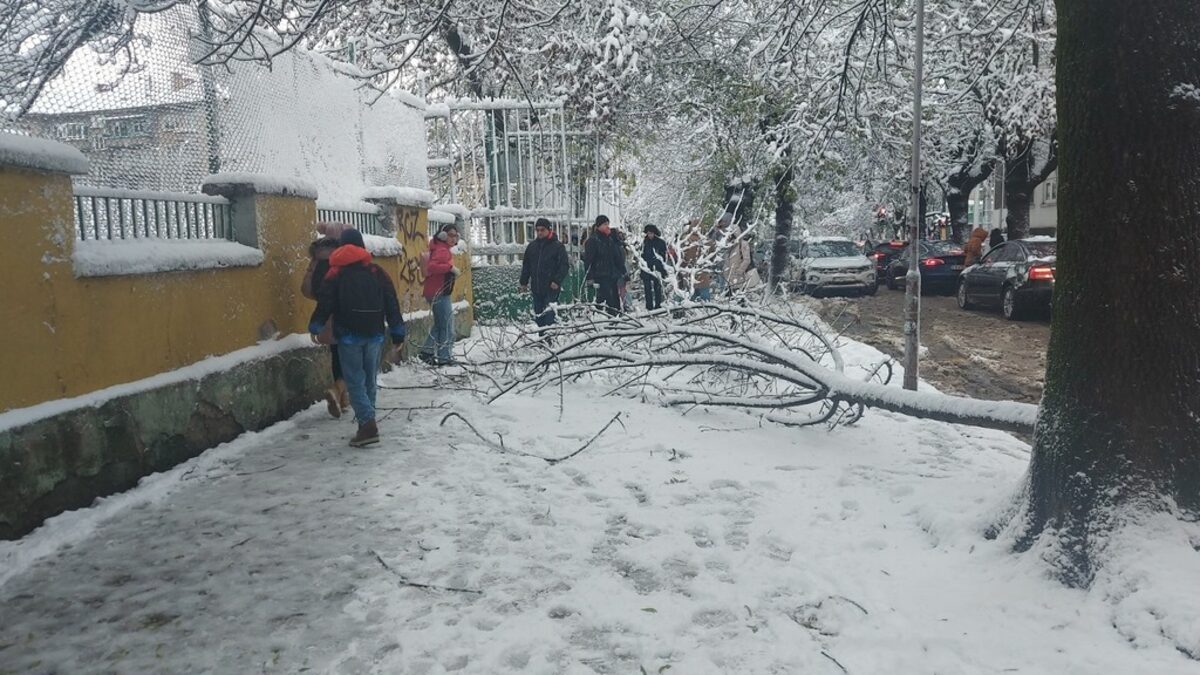 Транспортът в София работи при зимни условия, Витоша е затворена Транспортът в София работи при зимни условия, Витоша е затворена