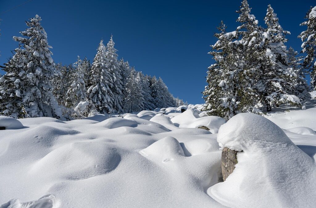 хижа "Алеко", Витоша, сняг