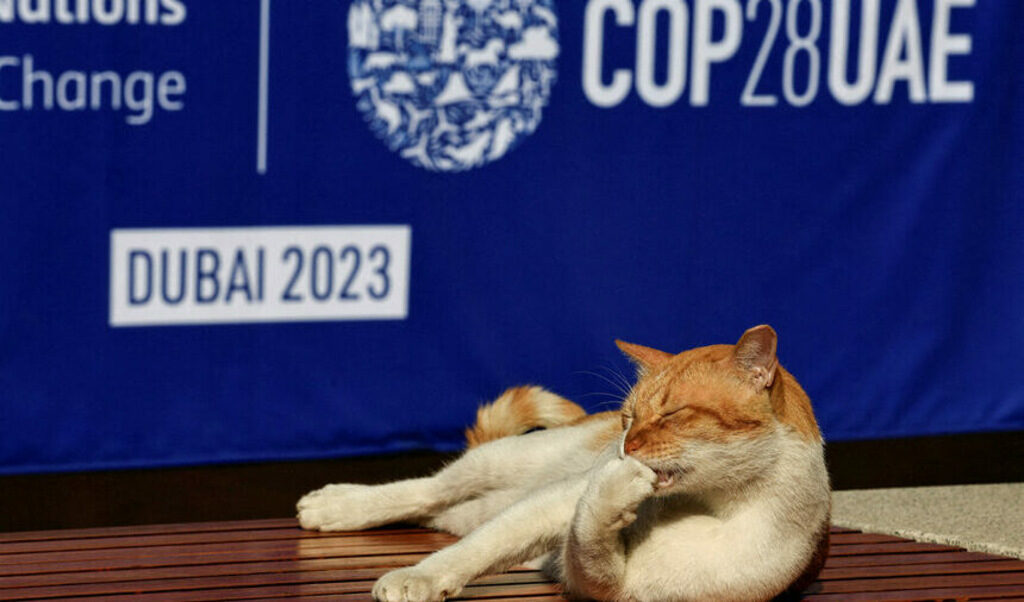 Споразумението от COP28 беше определено като "историческо", а България спечели от присъствието си.