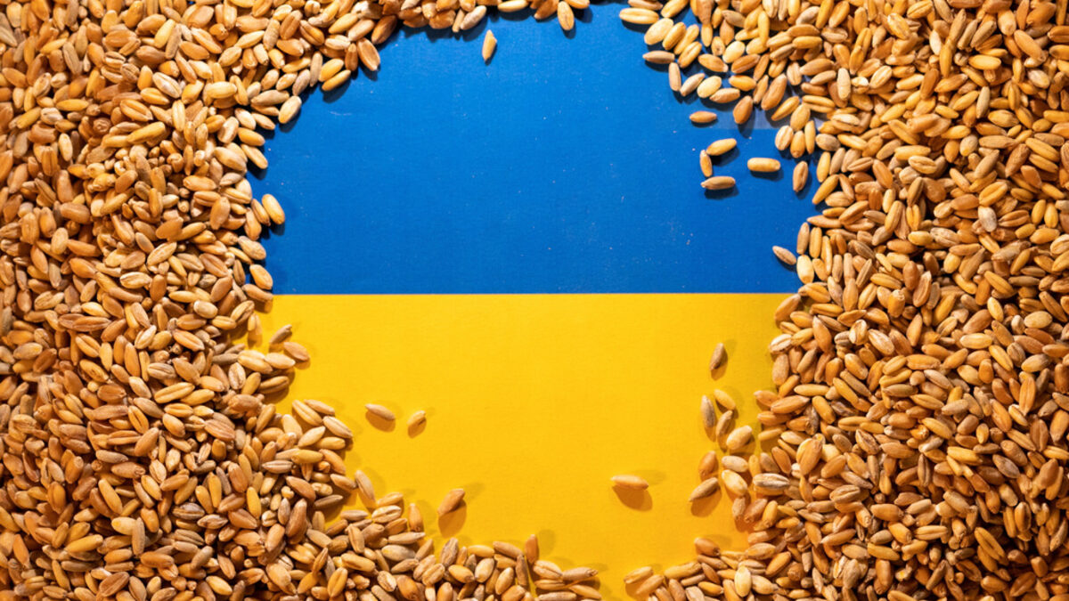 Няколко фирми са нарушили режима за износ на зърно от Украйна