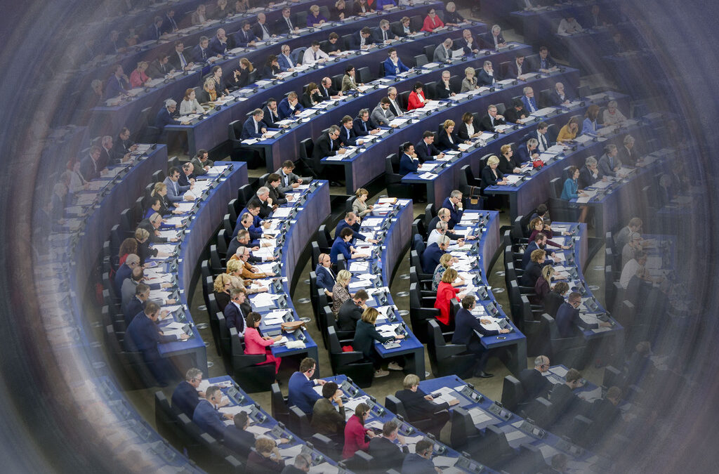 Най-големият парламент в света е единственият пряко избран европейски орган, но има по-малко законодателни правомощия от националните парламенти и много по-трудна задача да намери решенията заради голямото мнозинство, което се изисква да бъде събрано