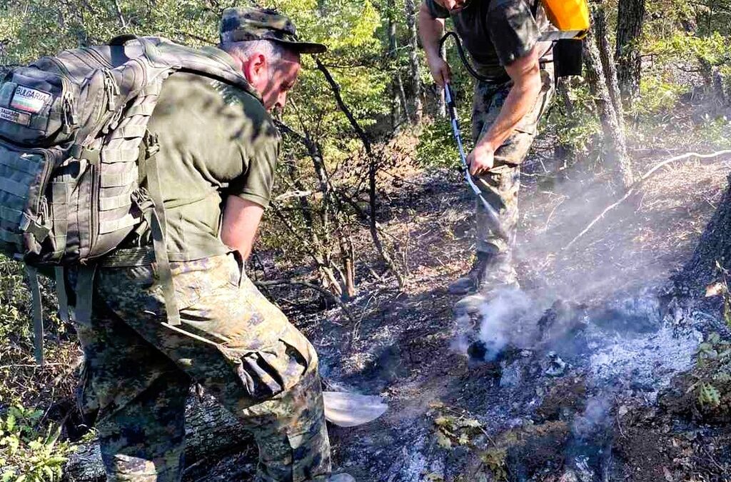Късо съединение е причината за пожара в свищовското село Ореш