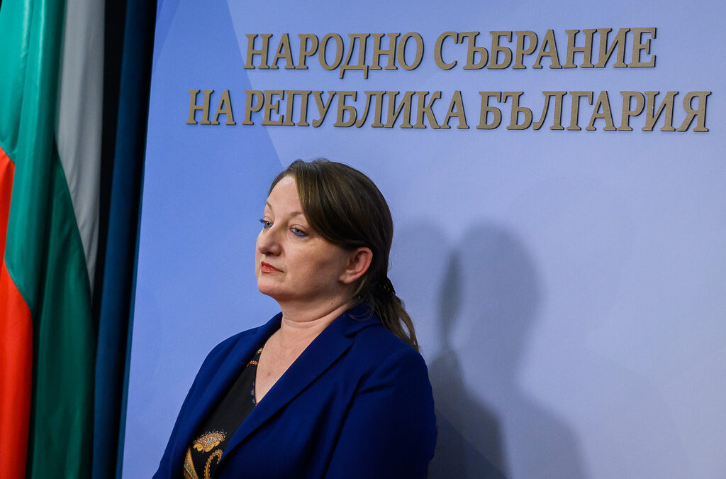 Деница Сачева от ГЕРБ, която е бивш социален министър, е основен вносител