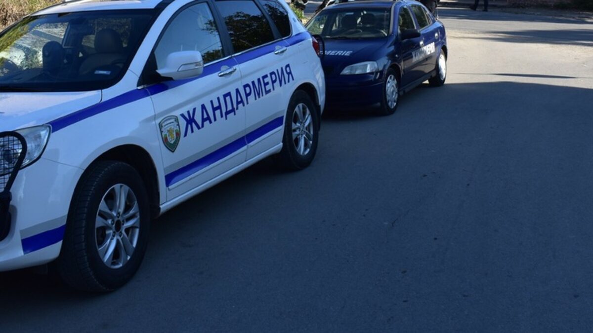 При акцията срещу купуването на гласове в Чирпан бяха открити дърва без документи При акцията срещу купуването на гласове в Чирпан бяха открити дърва без документи