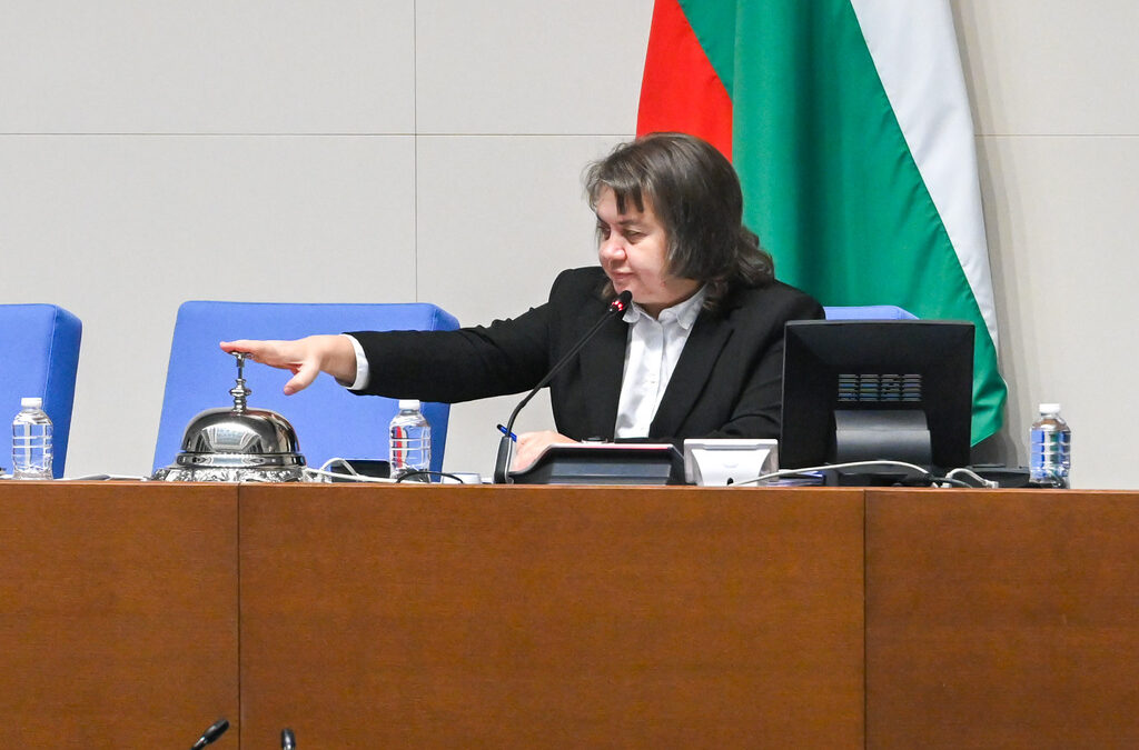 Парламент - парламентарно заседание - Наталия Киселова