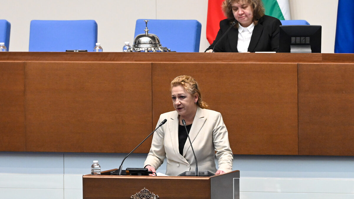 "Демократична България" настоява за повече средства в бюджета за психично здраве "Демократична България" настоява за повече средства в бюджета за психично здраве