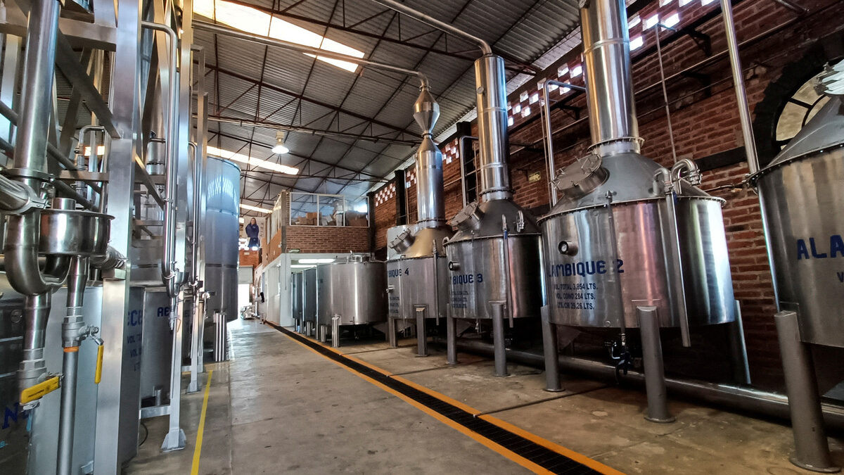 Дестилатори за текила в компанията Azteca Wines and Spirits, чийто персонал е изцяло от жени. Тръмп планира да наложи 25% мито върху вноса от Вале де Гуадалупе, Халиско, Мексико.