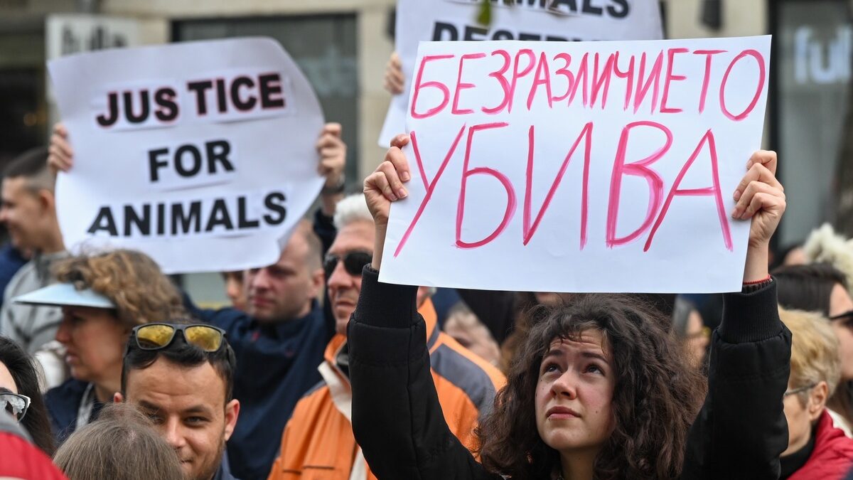 Протест срещу насилието над животни - 29 март 2025г., София
