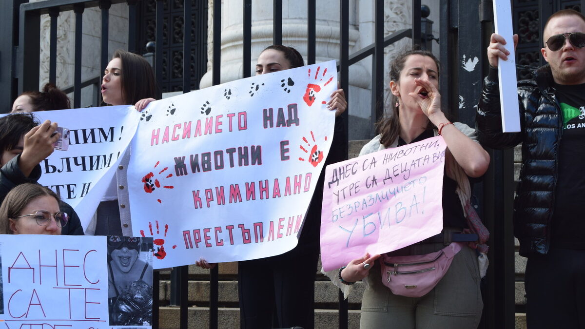 "Писна ни". Протести срещу насилието над животни се проведоха в цялата страна "Писна ни". Протести срещу насилието над животни се проведоха в цялата страна